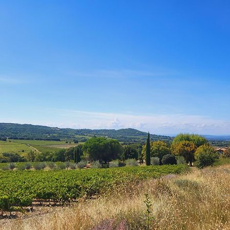 Les Saffres - Gite De Charme Pour 8 Personnes Valréas エクステリア 写真